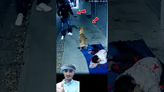 الكلب لم ينادي لاصديقه النائم لكي يدافع على نفسه بل دافع عنه من اللص ولم يدعه يقترب حالات واتس 