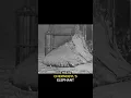 Chernobyl s Elephant s Foot