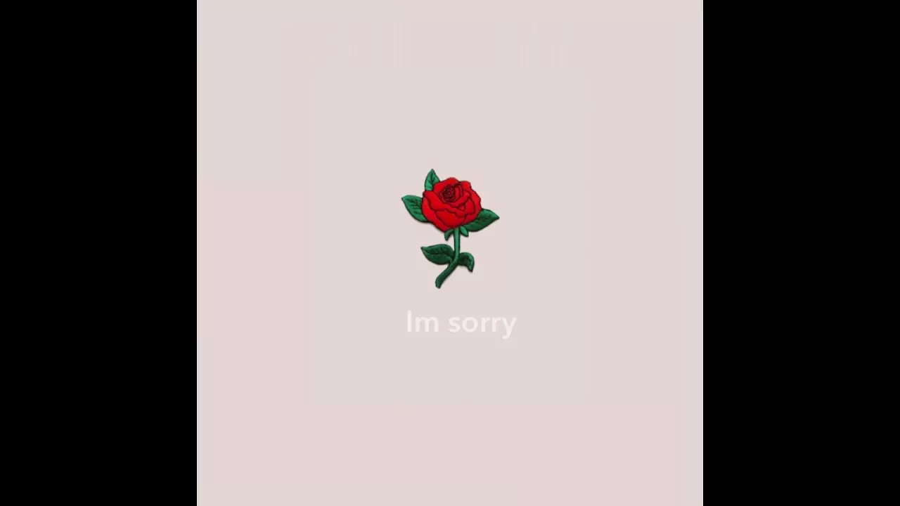 Im sorry~curlybamm lyrics