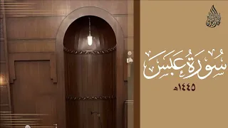 سورة عبس محمد اللحيدان رمضان                                    دندنها