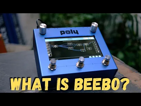 Poly Effect Beebo Multi-FX Pedal | Delicious Audio