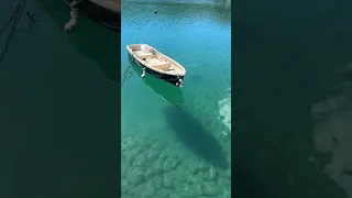 Longevity`s Trait is Often a Quieter Rhythm. #fieldnotes #longevity #japan