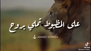 مهرجان دايره بتطبل   كلاب الماده    دندنها