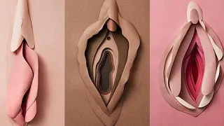 أنواع وأشكال المهبل بالصور 