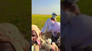 الخريف في البطانة الثروة حيوانيه ماشاء الله تبارك الرحمن 