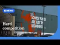 Bunnings market practices in the spotlight ABC NEWS