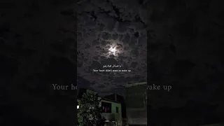 سعد لمجرد أنتي بغية واحد ما بغاش قلبك يفيق حالات واتس اب مع الكلمات مترجمة للأنكليزية 