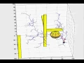 3D RRT Implementation
