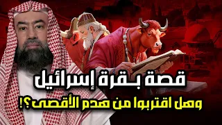 نبيل العوضي قصة البقرة الحمراء عند اليهود وعلاقتها بهدم للمسجد الأقصى جماعة هيكل سليمان 