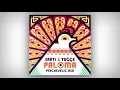 Download Lagu Santi \u0026 Tuğçe - Paloma (Psychedelic Mix)