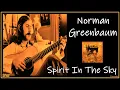 Norman Greenbaum - Spirit In The Sky