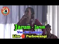 Download Lagu Jarum - Jarum || Voc. Siti Lengger || New Arista Music || Banjarnegara || Live 🔴 Purbowangi