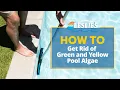 How to Get Rid of Green Yellow Pool Algae Leslie s