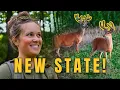Deer Hunting A New State - LET S GO SCOUT IT