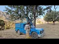 🐎 Rescue Operation for the Lost Horse in Bear Territory; Nomad Adventure in Zagros' Pristine Wildlif