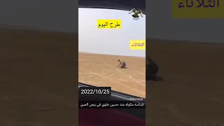طرح وادي بيض شاهين قرناس 2022 10 25 طرح اليوم السعودية لحظة طرح الطير 