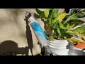 Garden Hose Filter - Removing Chlorine to Help Soil Life