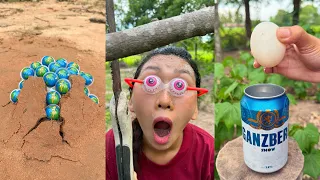 Survival Skills: SMART idea and USEFUL in Forest #bushcraft #camping #outdoors #useful 
