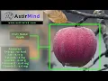 Fruits Recognition And Features Evaluation System Fruits Classification AstirMind