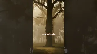 ياراحلين عن الحياة وساكنين بأضلعي هل تسمعون توجعي وتوجع الدنيا معي 