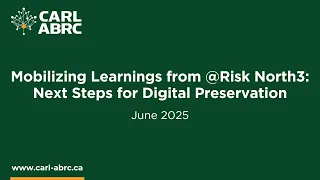 Mobilizing Learnings From Risk North 3 Next Steps For Digital Preservation 