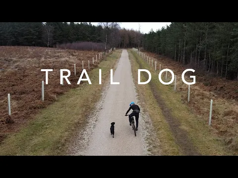 Download MP3 Training Inca to become the ultimate Mtb Trail Dog