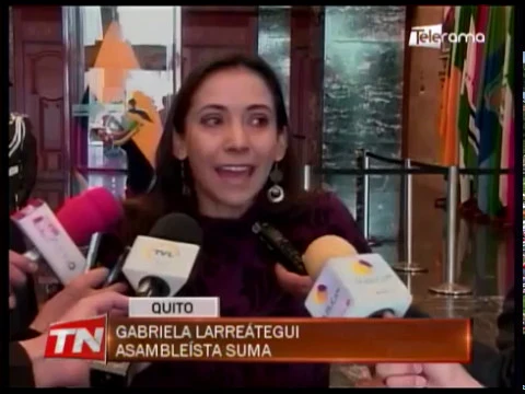 Observaciones a los informes de la investigación sobre Ana Galarza