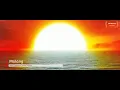 Malang | Progressive House | AMX | Ved Sharma | Aditya Roy Kapoor | Disha Patani