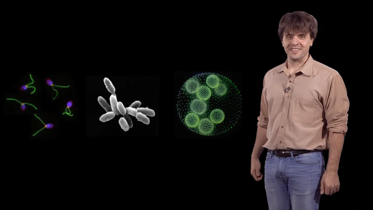 Karl Deisseroth (Stanford / HHMI): Development of Optogenetics