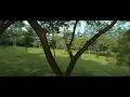 Download Lagu Taman Hutan Kota Penjaringan | Cinematic FPV Drone Perspective