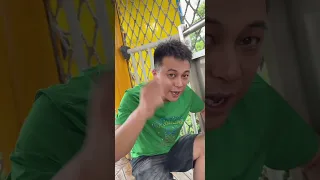                     دندنها