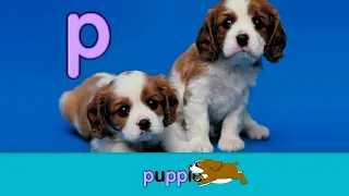 Starfall Letter P - Puppies