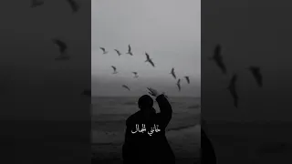 تامر عاشور حب ينهي       علي طريقته          ياااااه علي السنين                اكسبلور  حالات واتس دندنها