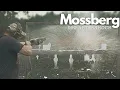 Download Lagu Mossberg 990 Aftershock! 12 gauge HAND CANNON!