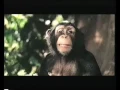 Download Lagu Disney's George of the jungle 2 Trailer 2003 (VHS Capture)