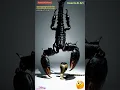 Cobra vs Scorpion Fight Animation | Insects AI Art | 18
