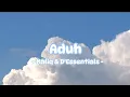 Download Lagu Aduh - Maliq \u0026 D'Essentials || Song Lyrics