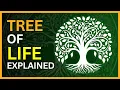 Why is every religion OBSESSED with the TREE OF LIFE