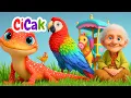 Lagu Kumpulan Lagu Anak | Cicak-cicak di Dinding 🦎 - Burung Kakak Tua🦜- Lagu Anak Indonesia Populer