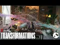 EY - Transformations