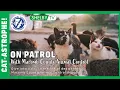 On Patrol with Macomb County Animal Control Cat-astrophe