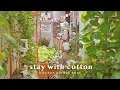 Download Lagu ทัวร์สวนผักหลังบ้าน 🌿🍅 | อาหารทำง่ายจากผักที่ปลูกเอง 🍲 | ดอกฟักทองยัดไส้ 🌼 | แกงผักปลัง | พล่าแตงกวา