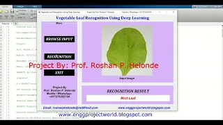 Vegetable Leaf Recognition Using Deep Learning Matlab Project With Source Code Vegetable Leaf Detect