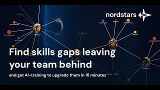 how to test and upgrade your team skills with ai nordstars courses for companies