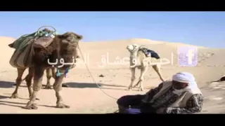 أقوى شعر تونسي  أقوى شعر تونسي