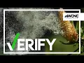 VERIFY Rain sometimes eases pollen levels but can also make them worse