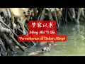 Download Lagu Mèng Mèi Yǐ Qiú《梦寐以求》【Lagu Mandarin】- Li Mao Shan 李茂山 [SubIndo/Pinyin Lyric \u0026 terjemahan]