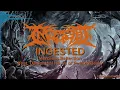 INGESTED - Merciless Reflection (feat. Damonteal Harris of Peeling Flesh)