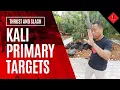 Download Lagu 2.4 Pekiti Tirsia Kali Primary Targets | Filipino Martial Arts Thrust and Slash