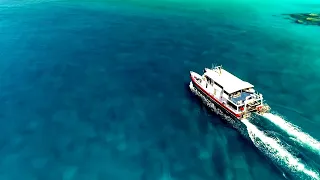 Wreck Reef Run - Captain McVeigh, 9 Tenders and a Giant GT